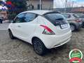Lancia Ypsilon 1.0 firefly hybrid Gold Car&Play - 5 posto - ruot Bianco - thumbnail 5