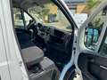 Citroen Jumper Grossraumkasten 35 L4H3 Control Heavy Blu Weiß - thumbnail 9