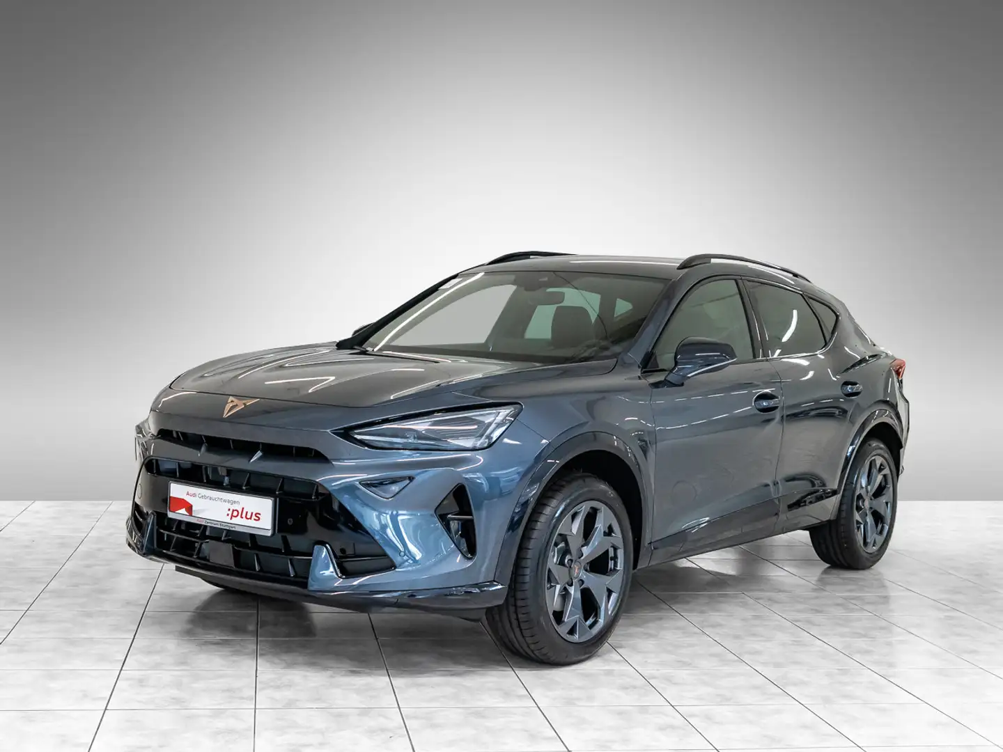 CUPRA Formentor 1.5 eTSI 7-Gang-DSG PDC ACC Edge-Paket Gris - 2