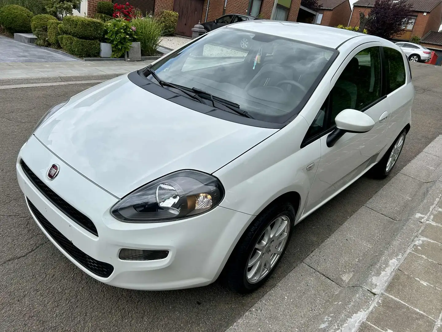 Fiat Punto Evo Punto EVO 1.2i Dynamic Stop&Start Wit - 2