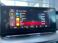 Skoda Octavia Combi 2,0 TDi RS Leder Massage Navi Gris - thumbnail 25