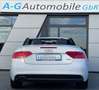 Audi A5 Cabriolet 2.0 TDI quattro S line Sport Plus Weiß - thumbnail 8