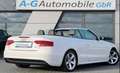 Audi A5 Cabriolet 2.0 TDI quattro S line Sport Plus Weiß - thumbnail 7