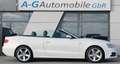 Audi A5 Cabriolet 2.0 TDI quattro S line Sport Plus Weiß - thumbnail 6