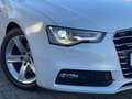 Audi A5 Cabriolet 2.0 TDI quattro S line Sport Plus Weiß - thumbnail 5