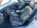 Audi A5 Cabriolet 2.0 TDI quattro S line Sport Plus Weiß - thumbnail 12