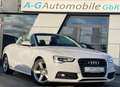 Audi A5 Cabriolet 2.0 TDI quattro S line Sport Plus Weiß - thumbnail 4