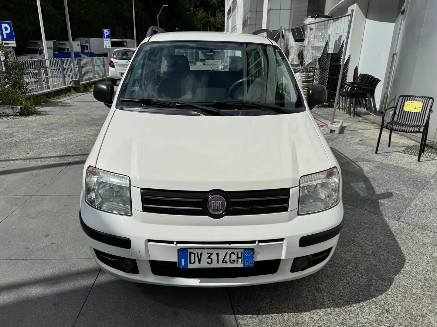 Fiat Panda 1.2 Dynamic NEOPATENTATI Bianco - 2