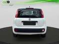 Fiat Panda POP Blanco - thumbnail 5