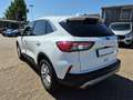 Ford Kuga Titanium 1.5 EB EU6d nur 37202 km beh. Rücksitze Blanc - thumbnail 6