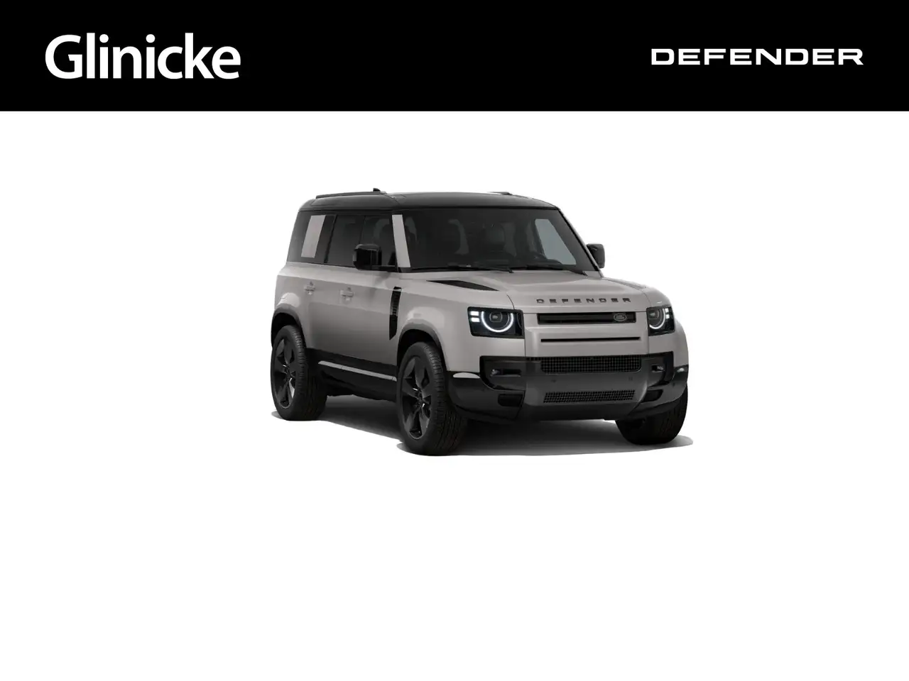 Land Rover Defender 110 D250 MHD X-DYNAMIC SE — photo 1 of 7