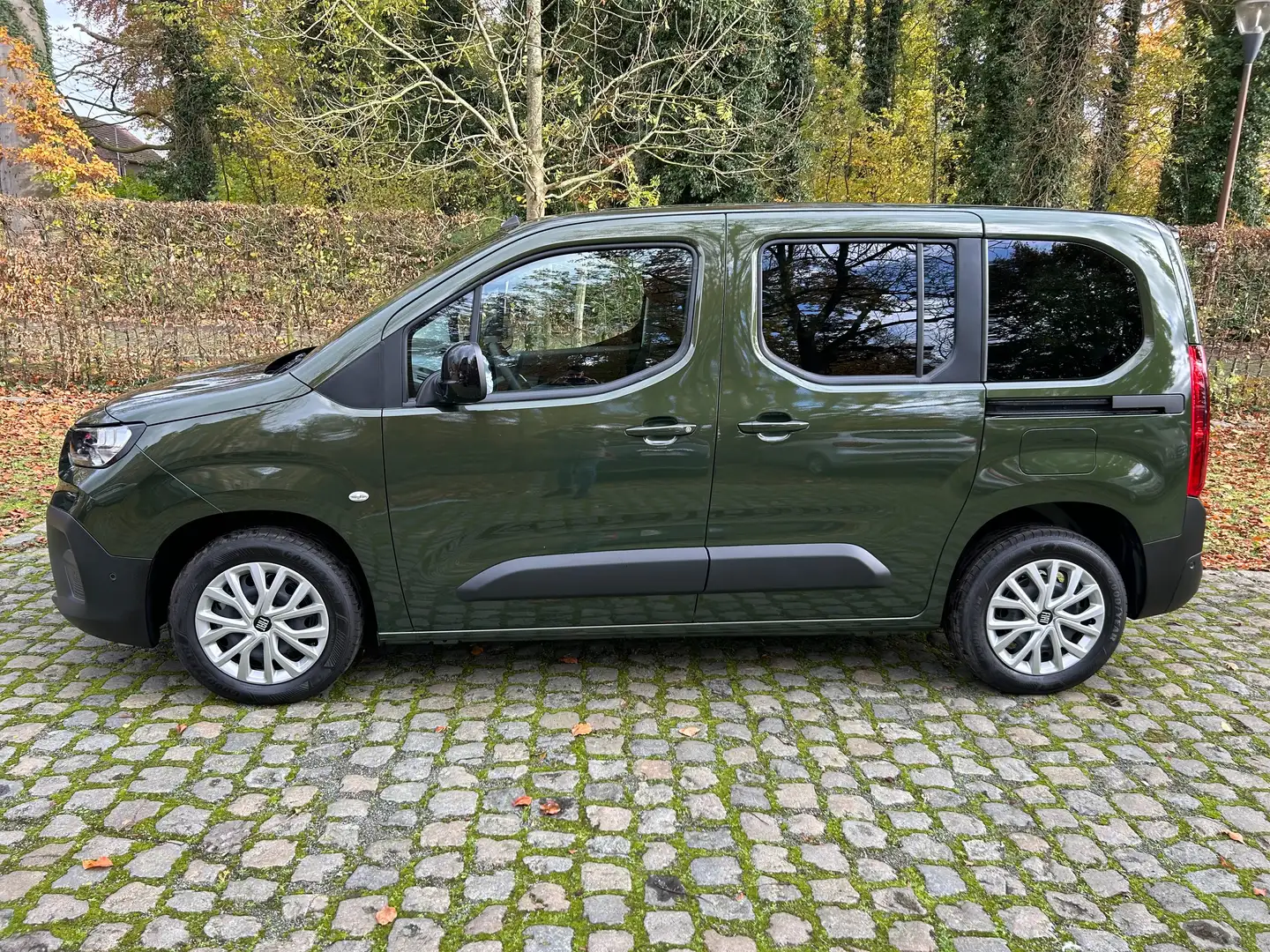 Fiat Doblo 1.5 BlueHdi Combi - 5 zitplaatsen Vert - 2