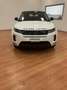 Land Rover Range Rover Evoque 2.0d i4 mhev S awd 150cv auto - thumbnail 3