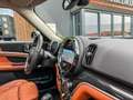 MINI Cooper S Countryman Mini 2.0 E ALL4 220pk Sage green/bruin leer/pano/c Yeşil - thumbnail 18