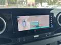Mercedes-Benz Sprinter 317 CDI RWD L2 Ladebordwand LED Grün - thumbnail 21
