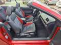 Volkswagen Golf Cabriolet Design & Style-Komfort-Winter Paket Rot - thumbnail 9
