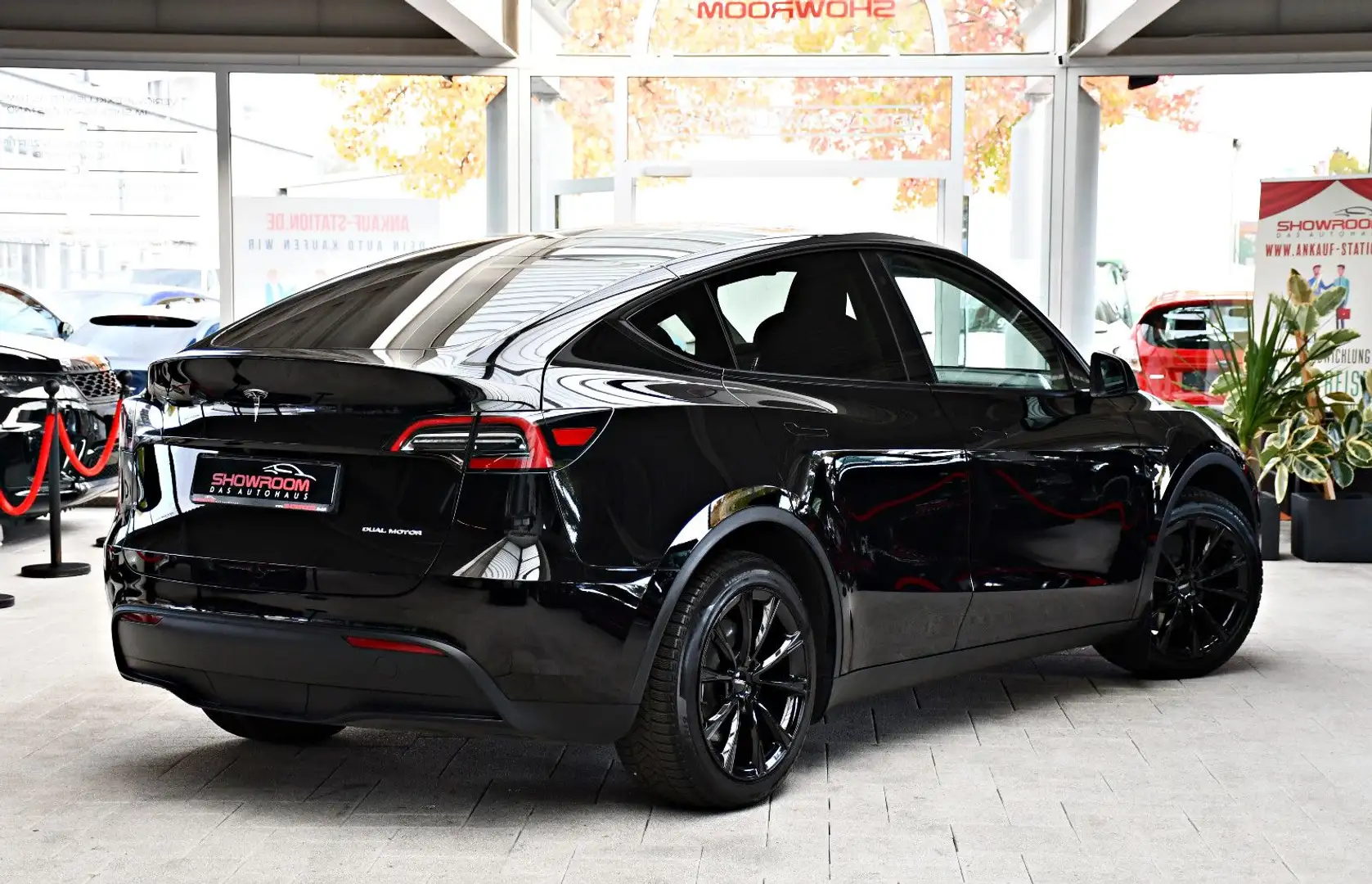 Tesla Model Y Long Range Dual AWD 19% MwSt. 1.Hand Noir - 2