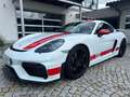 Porsche Cayman 718 GT4 Sports Cup Edition|Approved 04 26 Wit - thumbnail 3