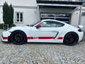 Porsche Cayman 718 GT4 Sports Cup Edition|Approved 04 26 Wit - thumbnail 5