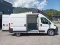 Fiat Ducato FIAT DUCATO EASY PRO 33 Bianco - thumbnail 9