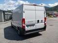Fiat Ducato FIAT DUCATO EASY PRO 33 Bianco - thumbnail 7