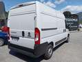 Fiat Ducato FIAT DUCATO EASY PRO 33 Bianco - thumbnail 10
