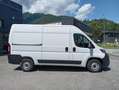 Fiat Ducato FIAT DUCATO EASY PRO 33 Bianco - thumbnail 11