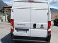 Fiat Ducato FIAT DUCATO EASY PRO 33 Bianco - thumbnail 14