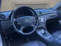 Mercedes-Benz CLK 200 Aut. AMG XENON PDC SITZLÜFT.  2.HD H&K! Zilver - thumbnail 14