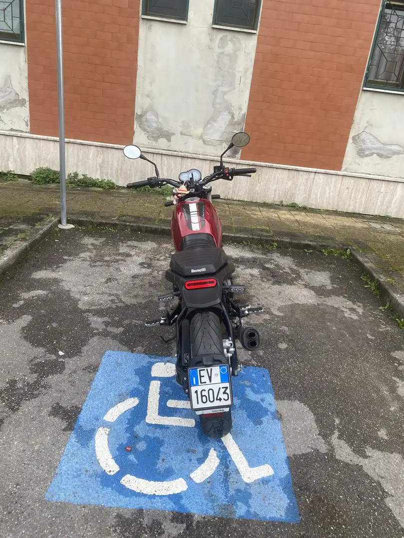 Benelli Leoncino Trial - 2