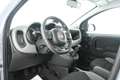 Fiat New Panda Panda 0.9 t.air t. Wild 4x4 s&s 85cv NEOPATENTATI+ Gris - thumbnail 10