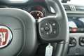 Fiat New Panda Panda 0.9 t.air t. Wild 4x4 s&s 85cv NEOPATENTATI+ Gris - thumbnail 26