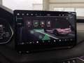 Skoda Octavia 2.0 TDI Selection KAMERA MATRIX-LED Grau - thumbnail 24
