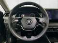Skoda Octavia 2.0 TDI Selection KAMERA MATRIX-LED Grau - thumbnail 13