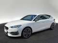 CUPRA Leon 2.0 TSI VZ DSG Beats Link Sitzhzg Kamera Weiß - thumbnail 2