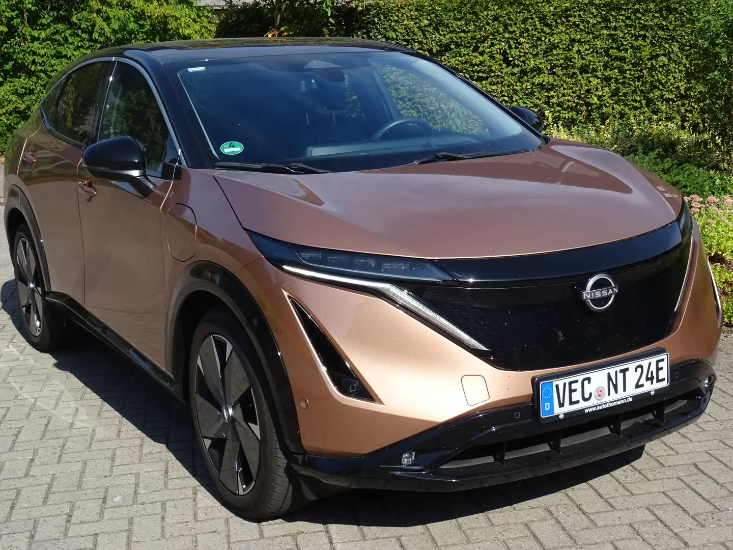 Nissan Ariya Evolve Pack Bronze - 2