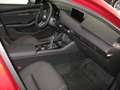 Mazda 3 e-Skyactiv-G122 Homura (Modeljahr 2024) Rosso - thumbnail 10