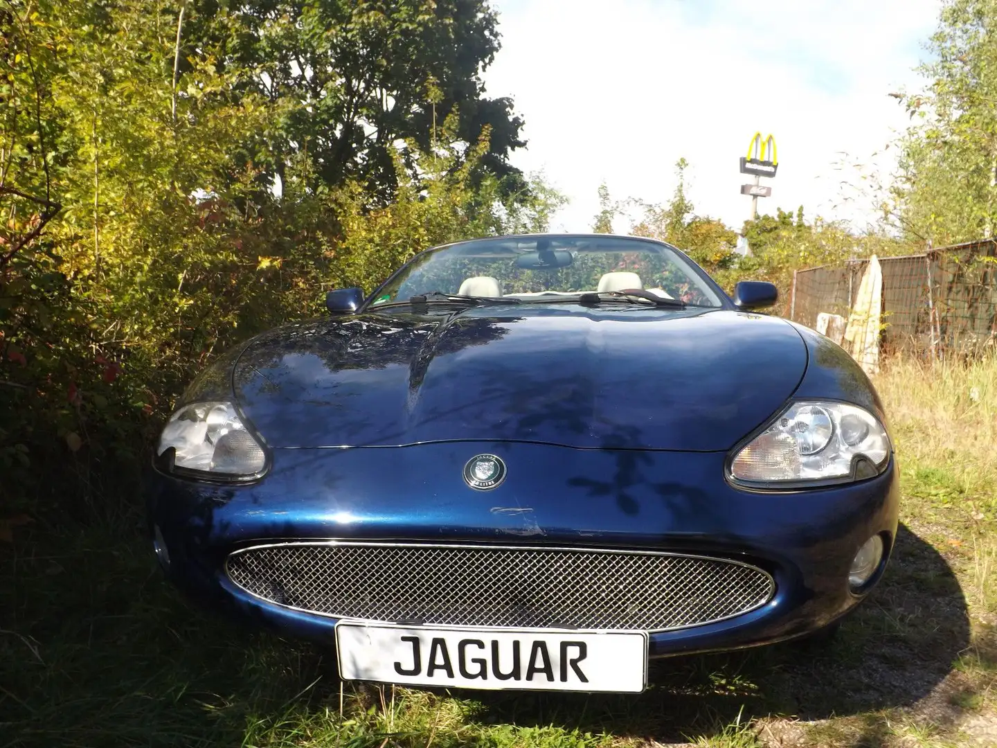 Jaguar XK8 - äußerst attraktiv und technisch perfekt! Bleu - 2