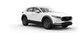 Mazda CX-30 2.5L e-SKYACT G MHEV 103kW Prime-Line MT Rojo - thumbnail 2