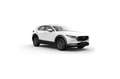Mazda CX-30 2.5L e-SKYACT G MHEV 103kW Prime-Line MT Rojo - thumbnail 10