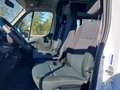 Renault Master III Oberaigner Mixto L3H2  3,5t 4X4 Weiß - thumbnail 14