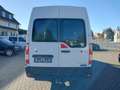 Renault Master III Oberaigner Mixto L3H2  3,5t 4X4 Weiß - thumbnail 6