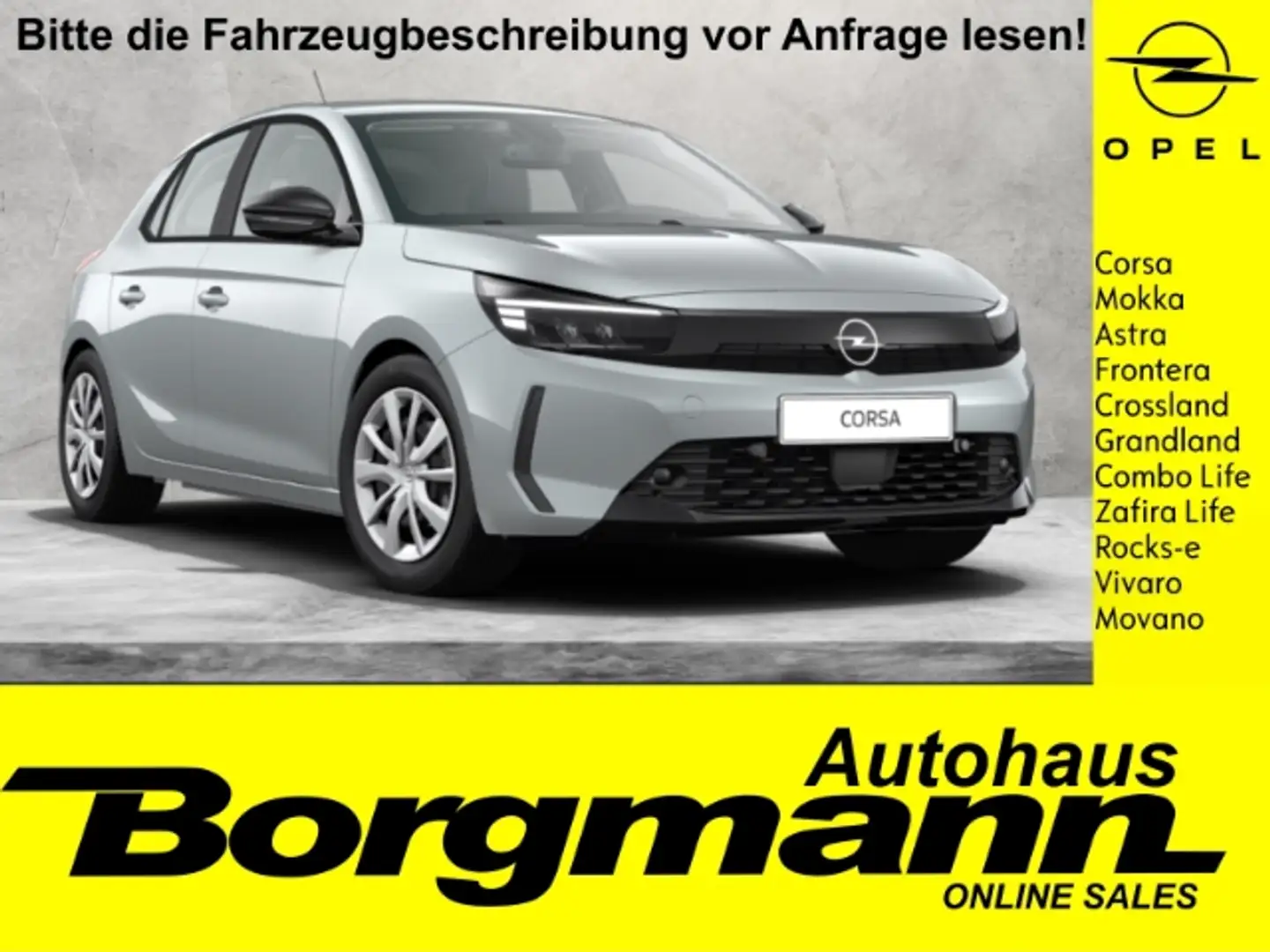 Opel Corsa Multimedia Einparkhilfe Zilver - 1