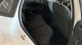 Volkswagen Polo 1.0 TSI Advance 70kW Blanc - thumbnail 10
