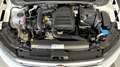 Volkswagen Polo 1.0 TSI Advance 70kW Blanc - thumbnail 13