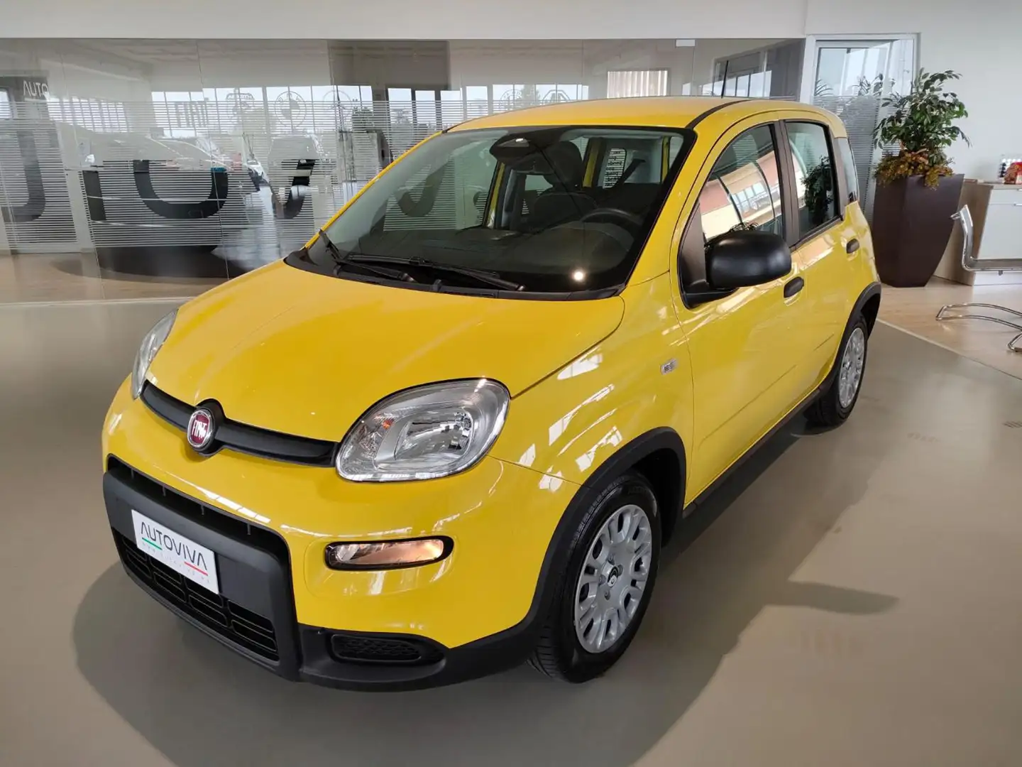 Fiat Panda 1.0 FireFly S&S Hybrid Geel - 1