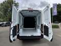 Ford Transit Trend 350 L3H2 170 Automaat Blanc - thumbnail 15