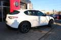 Alfa Romeo Stelvio Veloce Q4 Matrix -LED Weiß - thumbnail 3