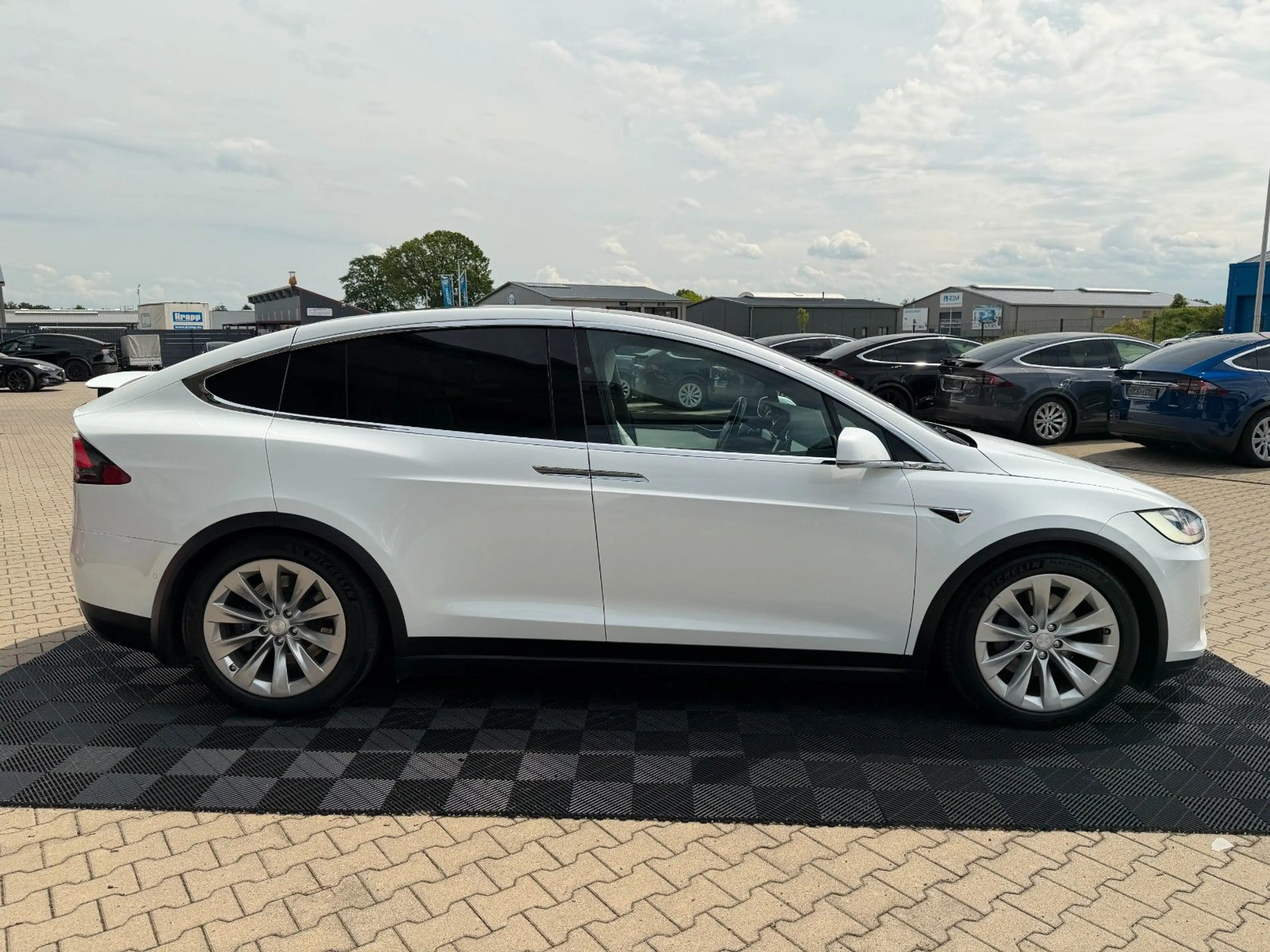 Tesla Model X MODEL X LONG RAVEN PLUS | WHITE ON WHITE | — photo 10