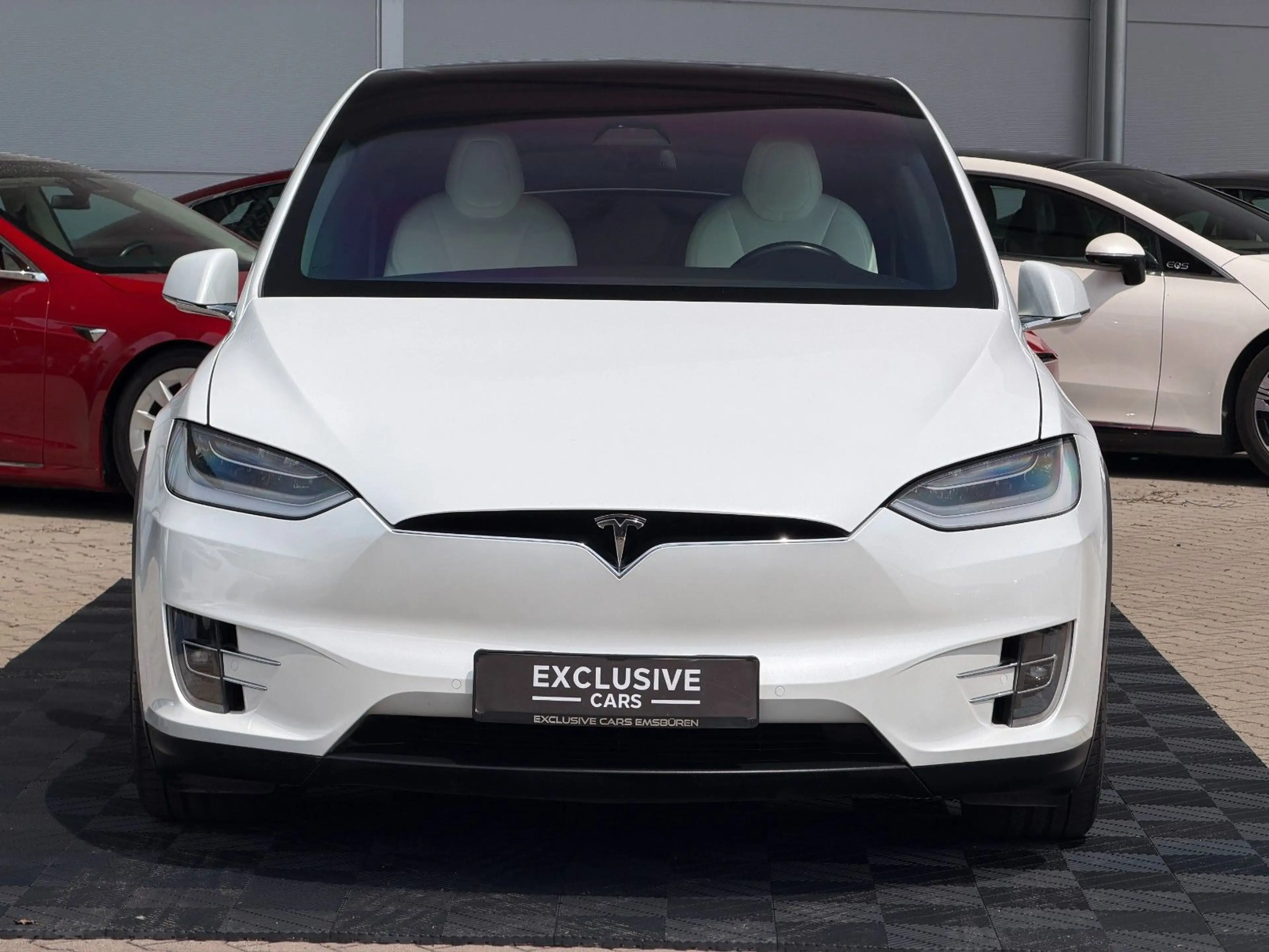 Tesla Model X MODEL X LONG RAVEN PLUS | WHITE ON WHITE | — photo 6